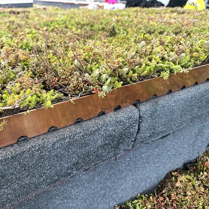 VegTech Inspektionskasse kobber