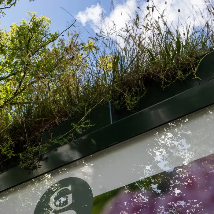 Biotoptag på et busskjul i Frederiksberg