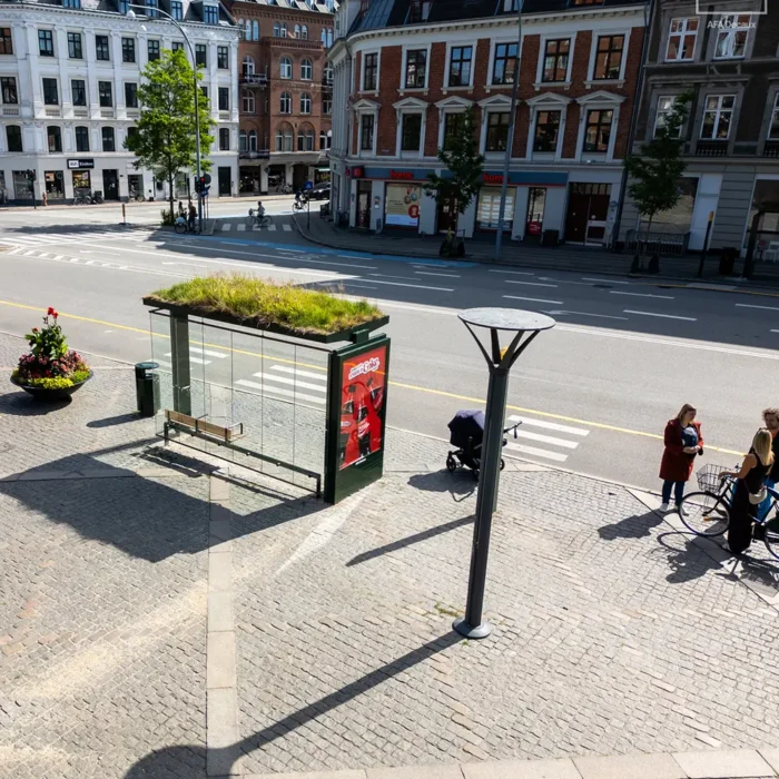 Biotoptag på et busskjul i Frederiksberg