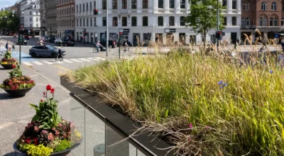 Biotoptag på et busskjul i Frederiksberg