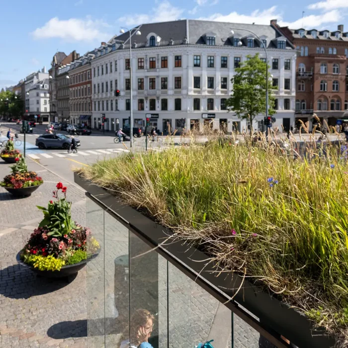 Biotoptag på et busskjul i Frederiksberg