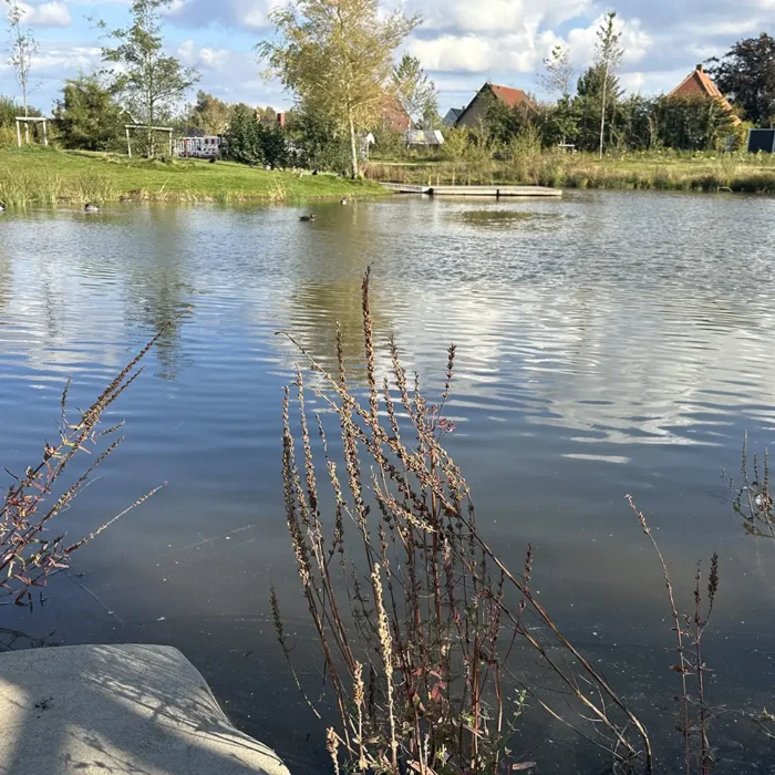 Vandrensende planter i infrastrukturprojekter
