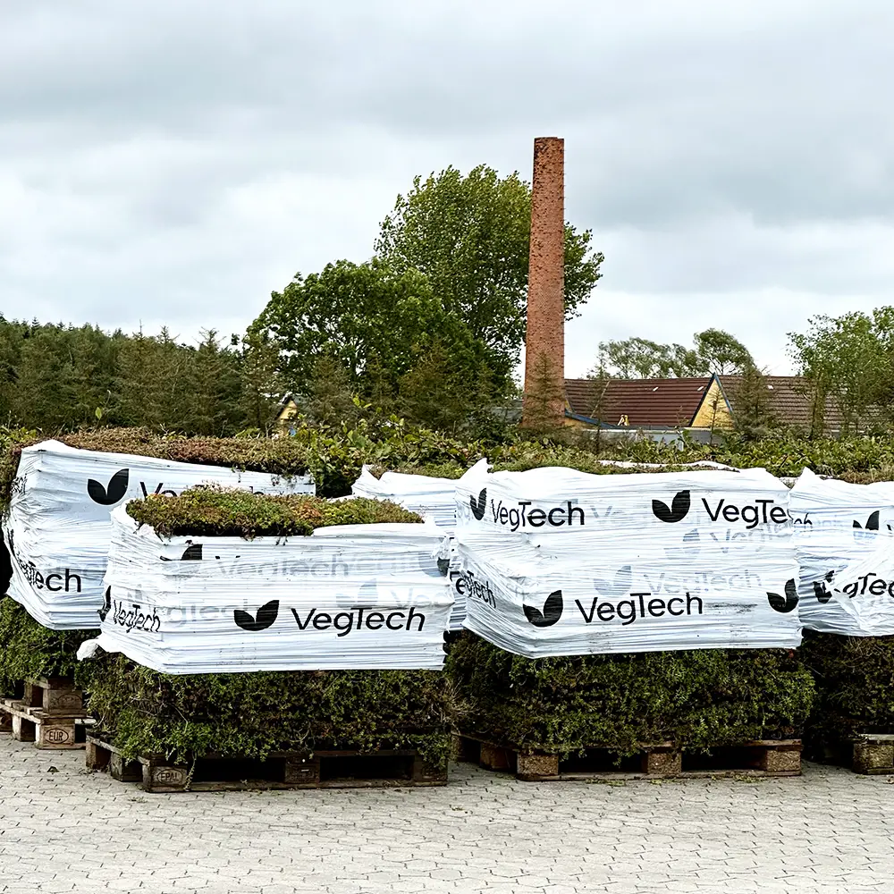 Sedumbakken leveres fra VegTech