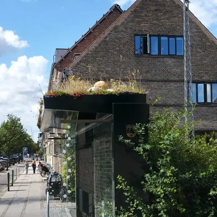 Fantasifulde buslæskure med tørengstag