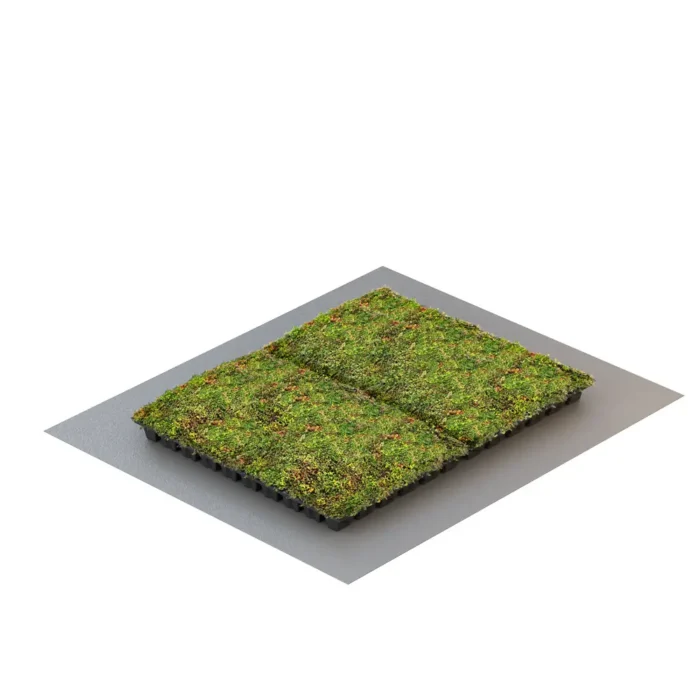 VegTech Sedumbakke