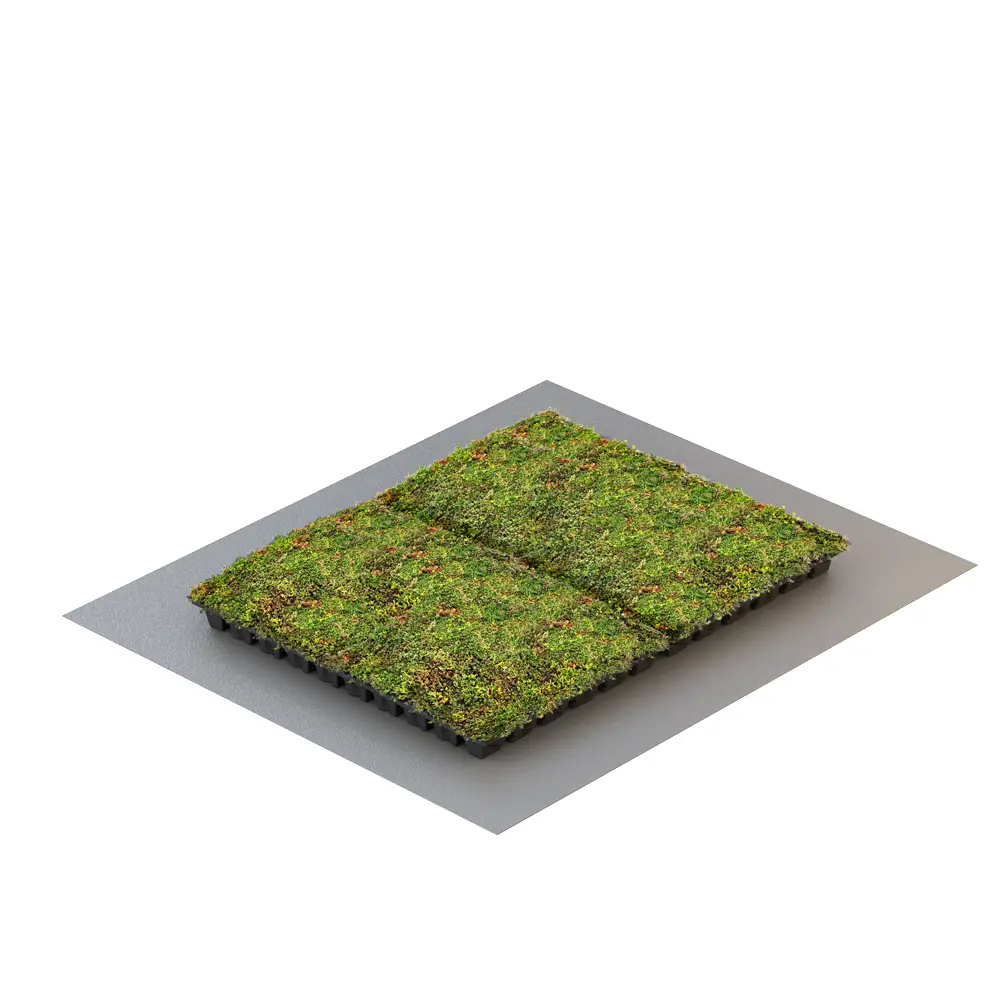 VegTech Opbygning Sedumbakke