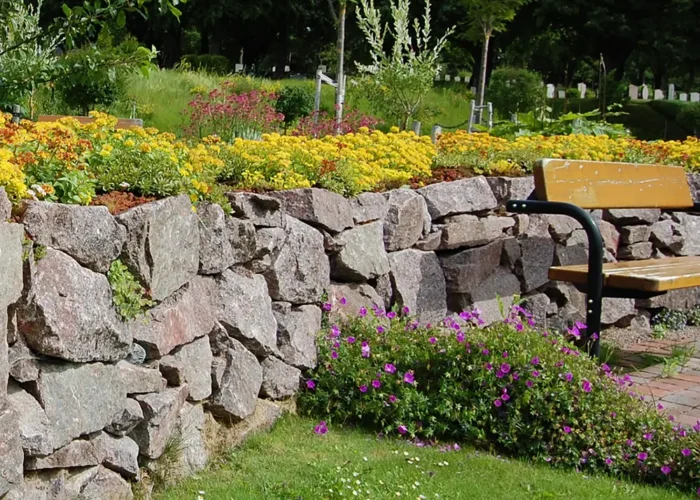 Sedum på stendige