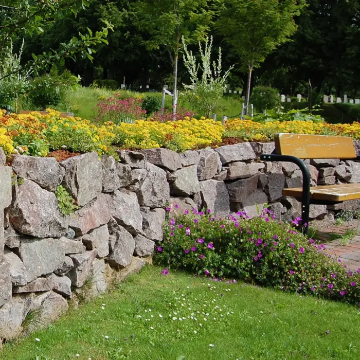 Sedum på stendige