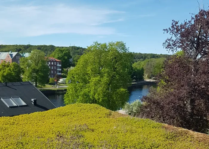 VegTech Sedumtag indeholder et mix af stenurter der er tilpasset det nordiske klima.
