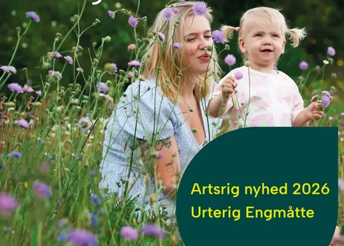 Urterig Engmåtte