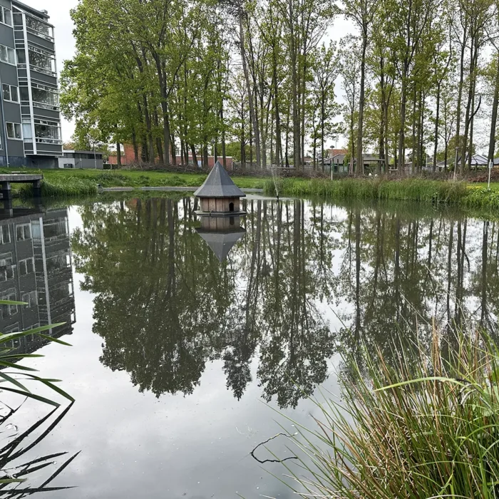 Bredmåtter i kunstig sø i Hvidovre