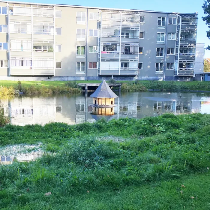 Bredmåtter i kunstig sø i Hvidovre