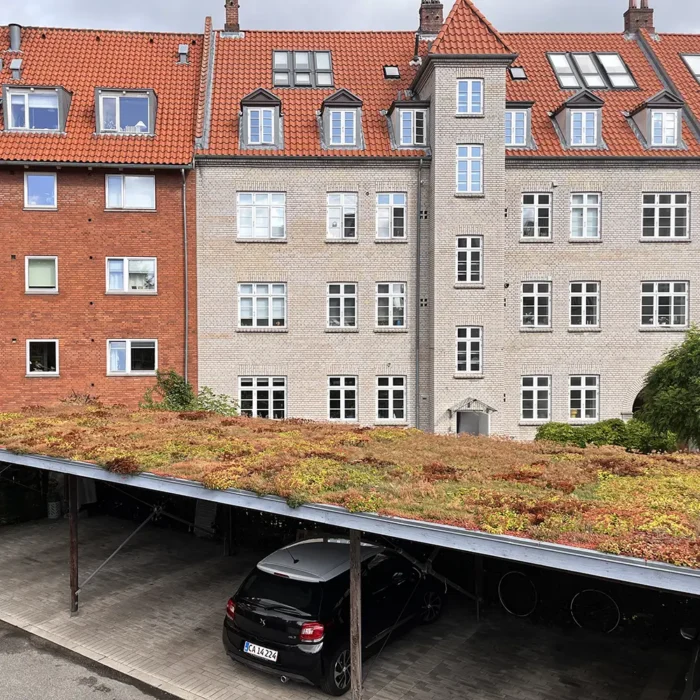 Sedumtag Gentofte aug 2026 (1)