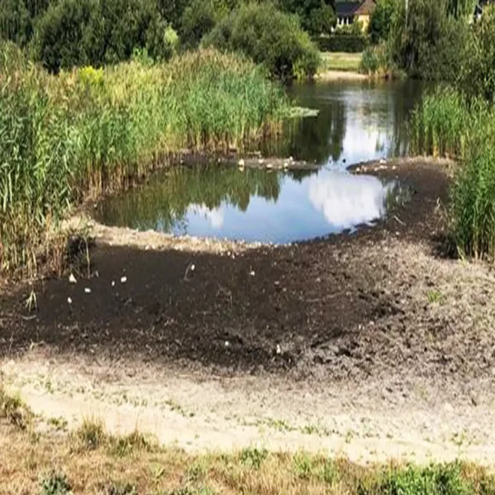 Bredmåtter i sø