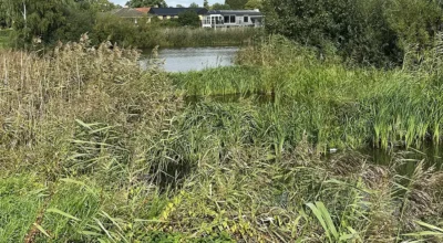 Bredmåtter i sø
