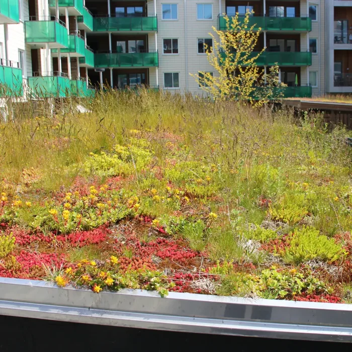 VegTech Tørrengmatter på tak