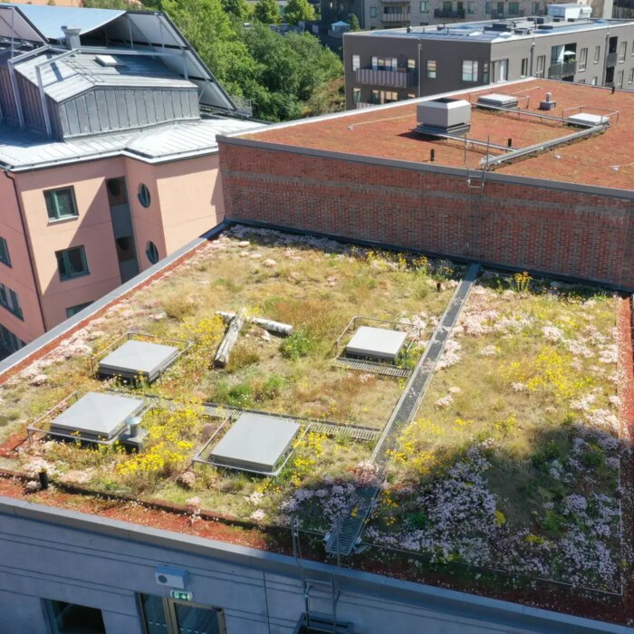 VegTech Grønne tak Nacka strand