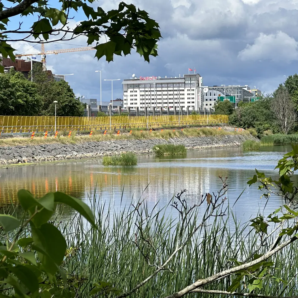 Flytende våtmark Stockholm