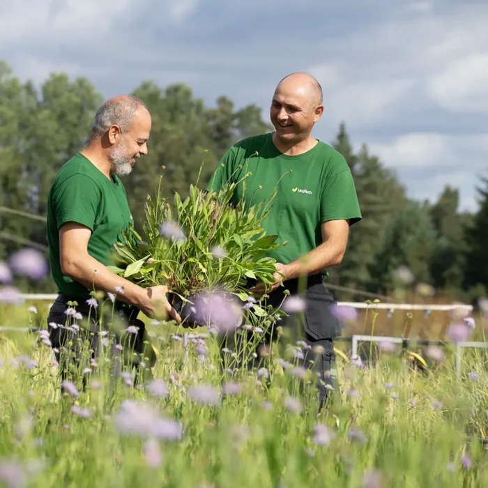 VegTech dyrker engplanter for etablering av byenger