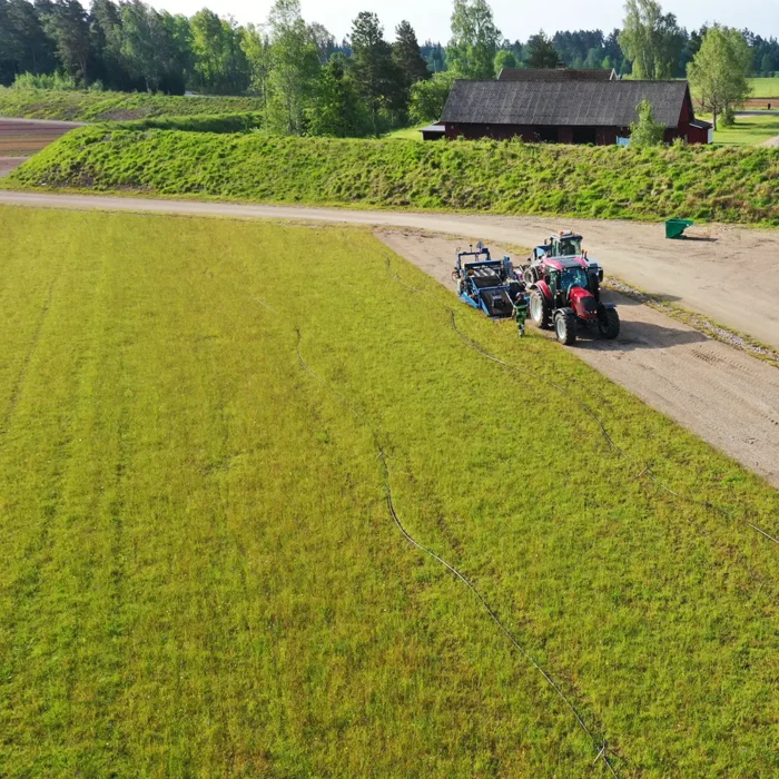 Vi produserer sedum og eng på egne dyrkinger