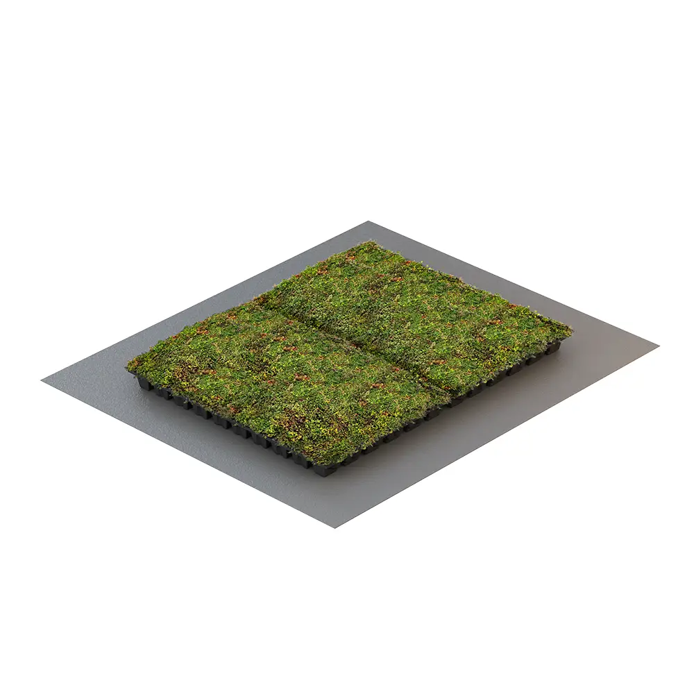 VegTech Sedumkassett